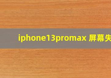 iphone13promax 屏幕失灵